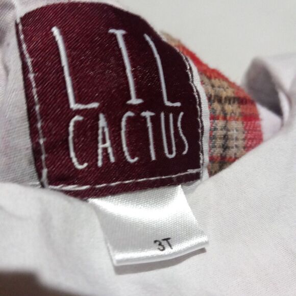 Lil Cactus Scallop Collared Plaid Dress-Size 3T-Lined-Flannel-100% Cotton - Picture 6 of 8